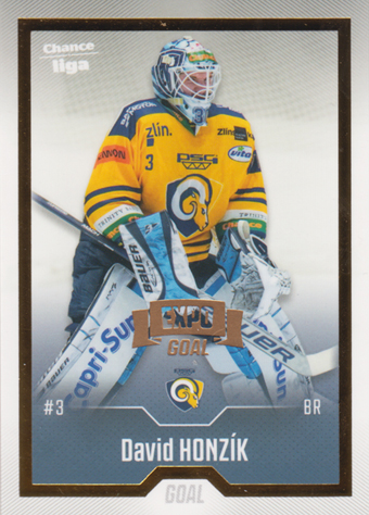 Honzík David 22-23 GOAL Cards Chance liga EXPO Pardubice Gold #385