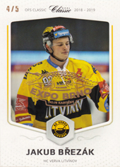 Březák Jakub 18-19 OFS Classic Expo Brno #497