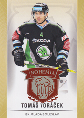 Voráček Tomáš 16-17 OFS Classic Expo Bohemia #117