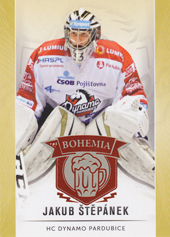 Štěpánek Jakub 16-17 OFS Classic Expo Bohemia #275