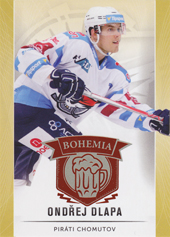 Dlapa Ondřej 16-17 OFS Classic Expo Bohemia #333