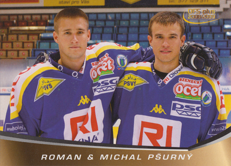 Pšurný Pšurný 08-09 OFS Plus Family #F01