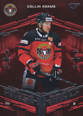 Adams Collin 24-25 Tipos Extraliga Fresh Forces #FF-20