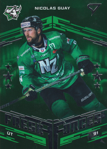 Guay Nicolas 24-25 Tipos Extraliga Fresh Forces #FF-31