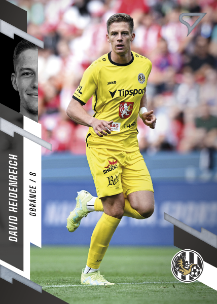 Heidenreich David 23-24 Fortuna Liga #94