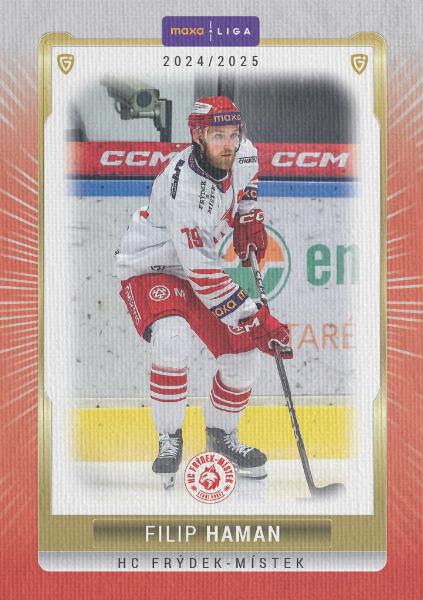 Haman Filip 24-25 GOAL Cards Maxa liga Canvas #FMI-03