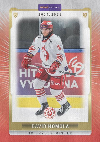 Homola David 24-25 GOAL Cards Maxa liga Canvas #FMI-12