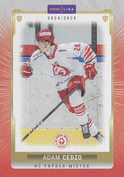 Cedzo Adam 24-25 GOAL Cards Maxa liga Canvas #FMI-18