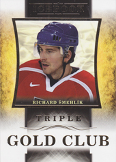Šmehlík Richard 2016 OFS Icebook Gold Club Gold #13