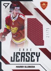 Sloboda Marek 22-23 Tipos Extraliga Game Jersey #GJ-MS