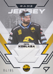 Koblasa Petr 23-24 Tipsport Extraliga Game Jersey #GJ-PK