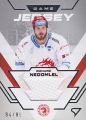 Nedomlel Richard 23-24 Tipsport Extraliga Game Jersey #GJ-RN