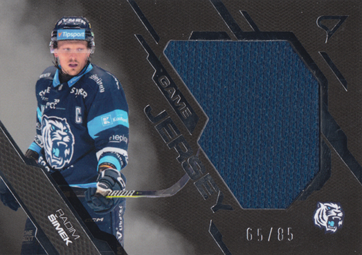 Šimek Radim 25-26 Tipsport Extraliga Game Jersey Silver #GJ-RS