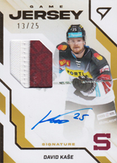 Kaše David 22-23 Tipsport Extraliga Game Jersey Auto #GJS-DK