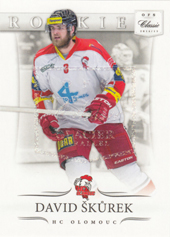 Škůrek David 14-15 OFS Classic Glacier #349