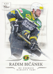 Bičánek Radim 14-15 OFS Classic Glacier #391