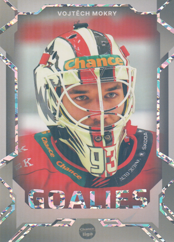 Mokry Vojtěch 23-24 GOAL Cards Chance liga Goalies Silver #G-20