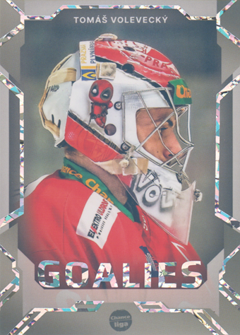Volevecký Tomáš 23-24 GOAL Cards Chance liga Goalies Silver #G-21