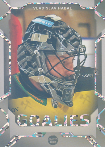 Habal Vladislav 23-24 GOAL Cards Chance liga Goalies Silver #G-25