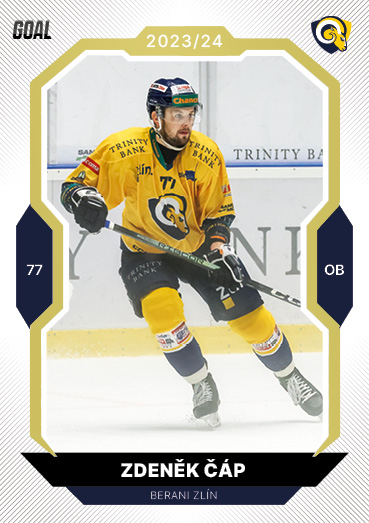 Čáp Zdeněk 23-24 GOAL Cards Chance liga Gold #6