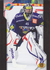 Málek Roman 2011 OFS Premium Gold #7