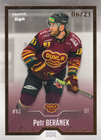 Beránek Petr 22-23 GOAL Cards Chance liga Gold #14