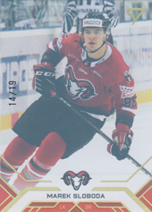 Sloboda Marek 20-21 Tipos Extraliga Gold #14