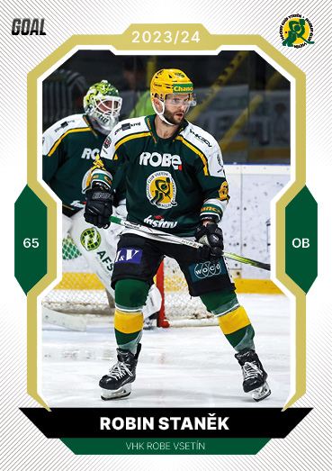 Staněk Robin 23-24 GOAL Cards Chance liga Gold #21