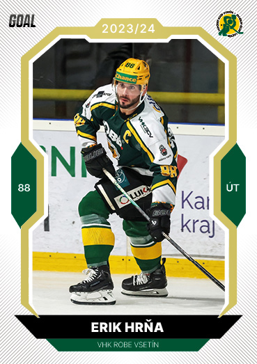 Hrňa Erik 23-24 GOAL Cards Chance liga Gold #27