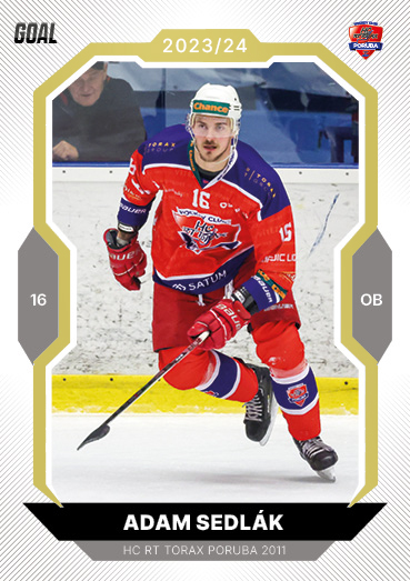 Sedlák Adam 23-24 GOAL Cards Chance liga Gold #59