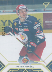 Hraško Peter 20-21 Tipos Extraliga Gold #96