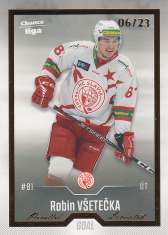 Všetečka Robin 22-23 GOAL Cards Chance liga Gold #112