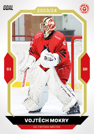 Mokry Vojtěch 23-24 GOAL Cards Chance liga Gold #114