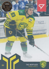 Bertuzzi Tag 20-21 Slovenská hokejová liga Limited Gold #116