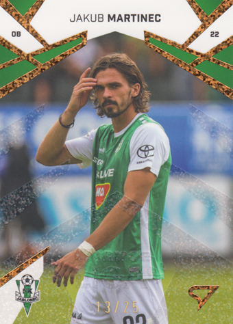 Martinec Jakub 24-25 Chance Liga Gold #123