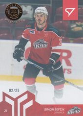 Šefčík Simon 20-21 Slovenská hokejová liga Limited Gold #133
