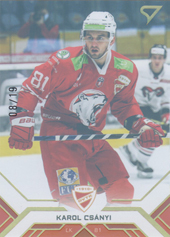Csányi Karol 20-21 Tipos Extraliga Gold #135