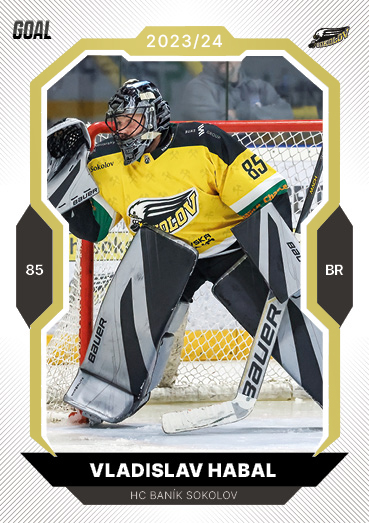 Habal Vladislav 23-24 GOAL Cards Chance liga Gold #156