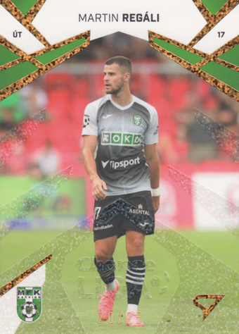Regáli Martin 24-25 Chance Liga Gold #167