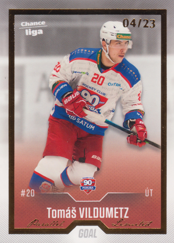 Vildumetz Tomáš 22-23 GOAL Cards Chance liga Gold #167