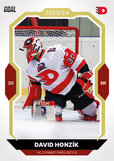 Honzík David 23-24 GOAL Cards Chance liga Gold #170