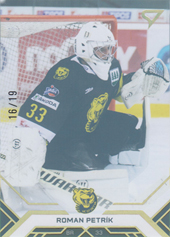 Petrík Roman 20-21 Tipos Extraliga Gold #181