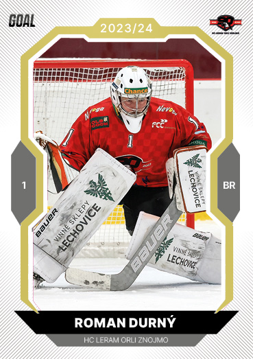 Durný Roman 23-24 GOAL Cards Chance liga Gold #183