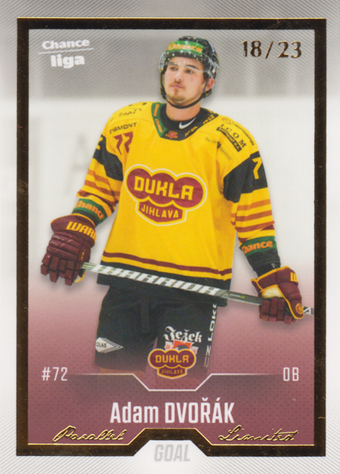 Dvořák Adam 22-23 GOAL Cards Chance liga Gold #205