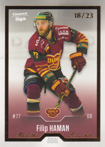 Haman Filip 22-23 GOAL Cards Chance liga Gold #206