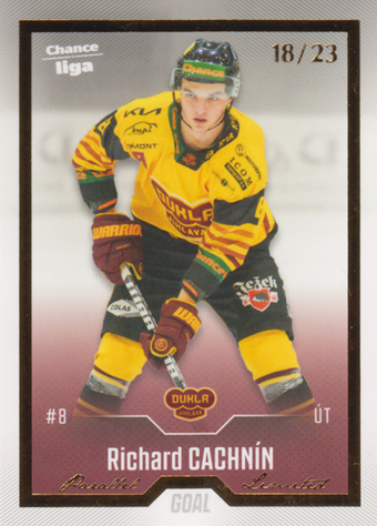 Cachnín Richard 22-23 GOAL Cards Chance liga Gold #208