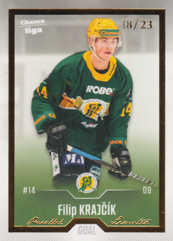 Krajčík Filip 22-23 GOAL Cards Chance liga Gold #220