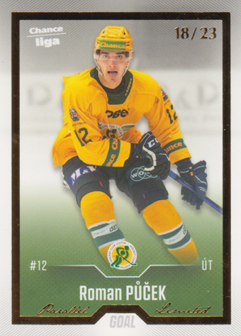 Půček Roman 22-23 GOAL Cards Chance liga Gold #225