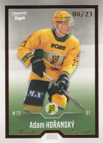 Hořanský Adam 22-23 GOAL Cards Chance liga Gold #229