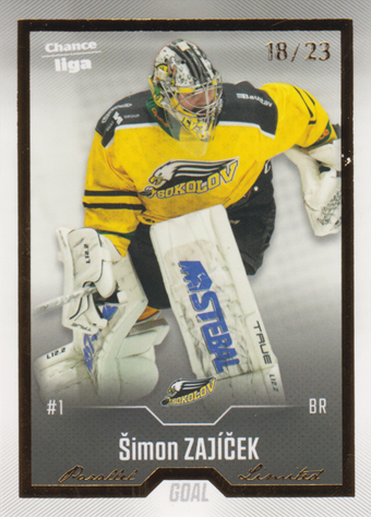 Zajíček Šimon 22-23 GOAL Cards Chance liga Gold #232